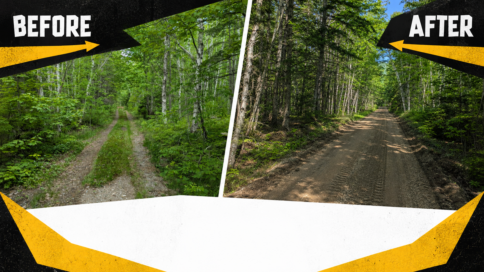 Finished gravel driveway through wooded Cape Breton property