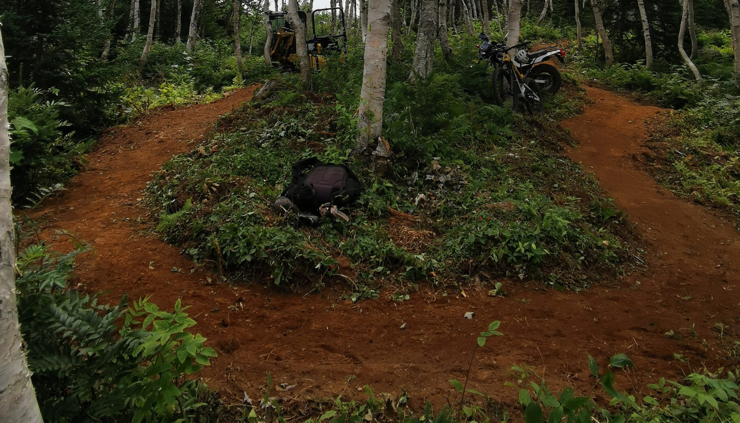 Machine-built trail under construction in forest