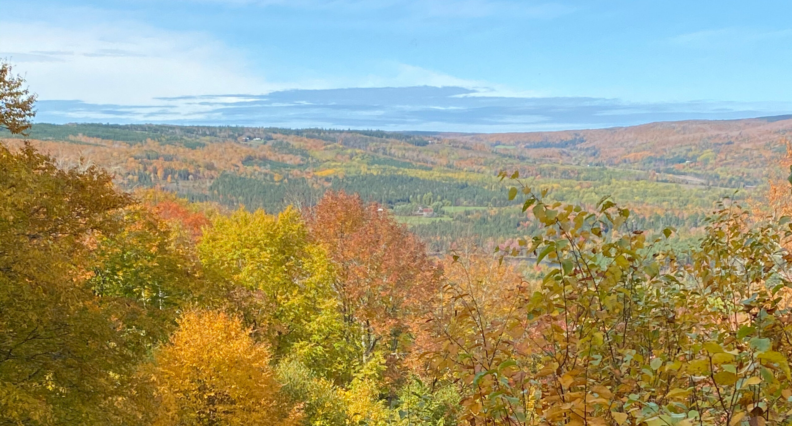 Fall-Colors Fall is a great time to clean that yard. Trim trees and provide safe egress