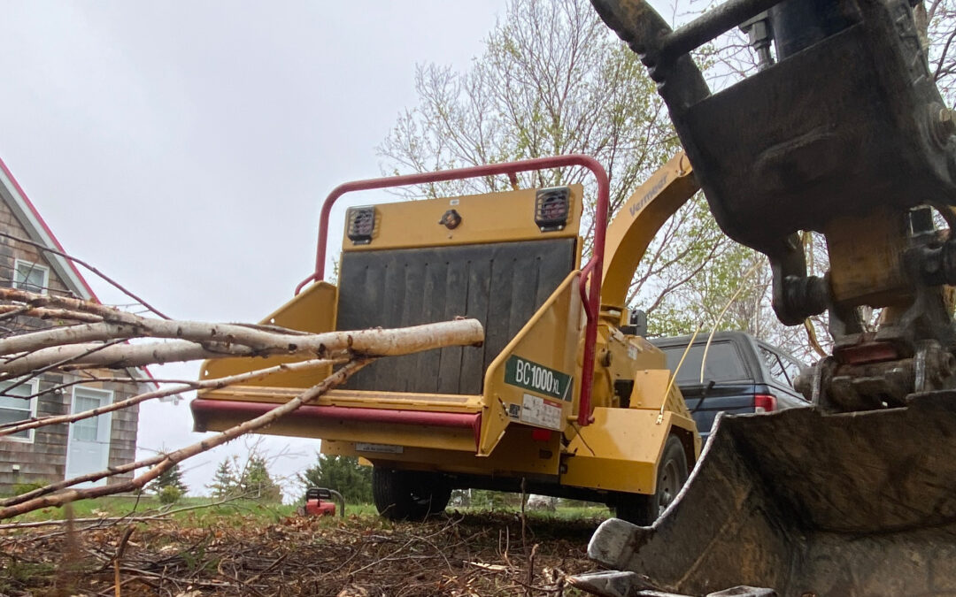 Fall Cleanup in Cape Breton: Get Ready for Winter the Easy Way
