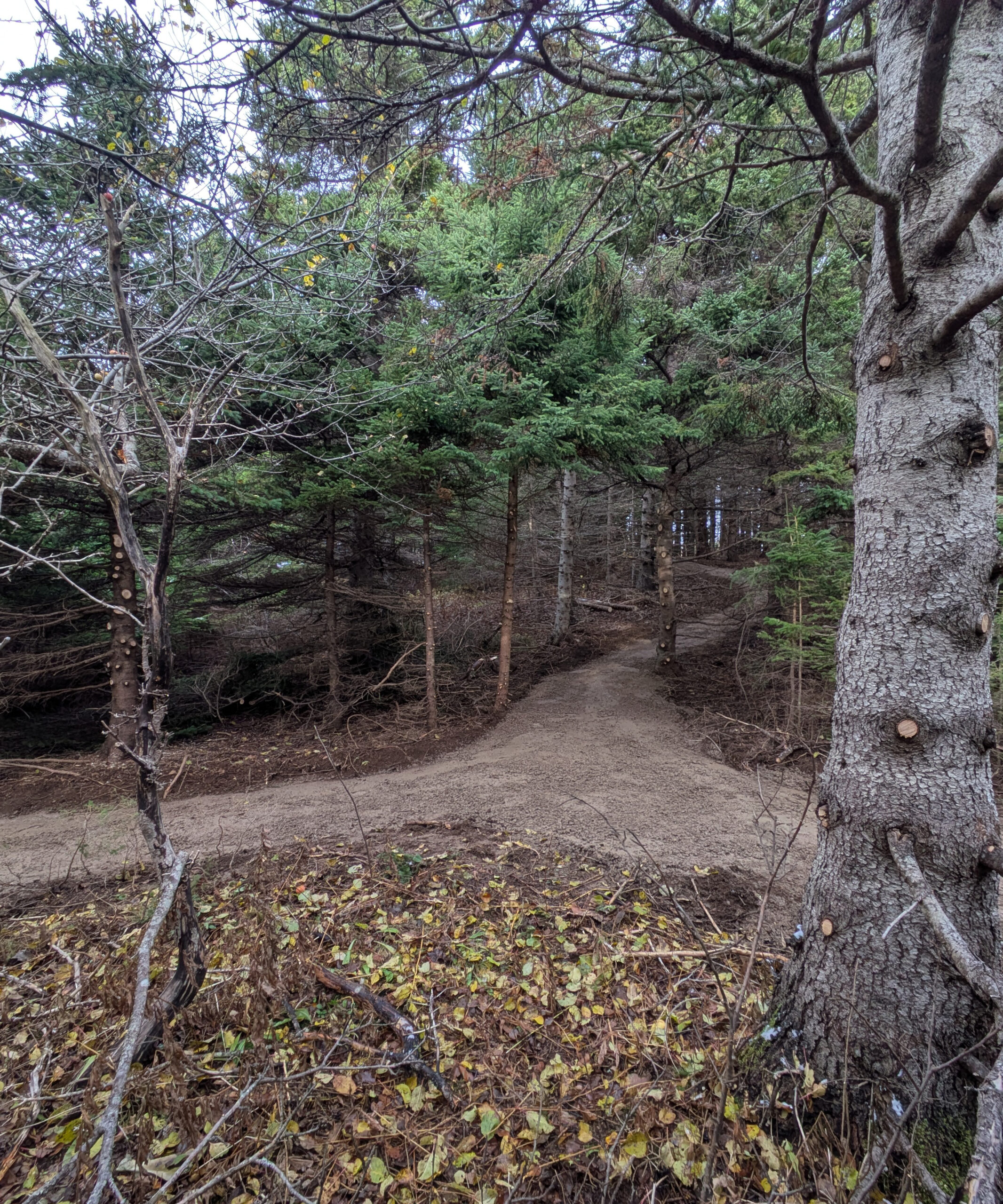 Private trail entrance connecting tourism accommodations through retained forest