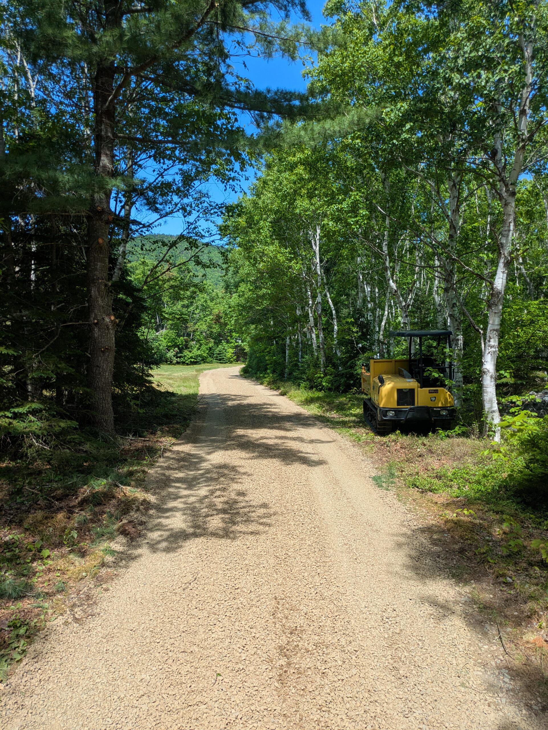 Compact equipment completing sitework on a wooded Cape Breton property