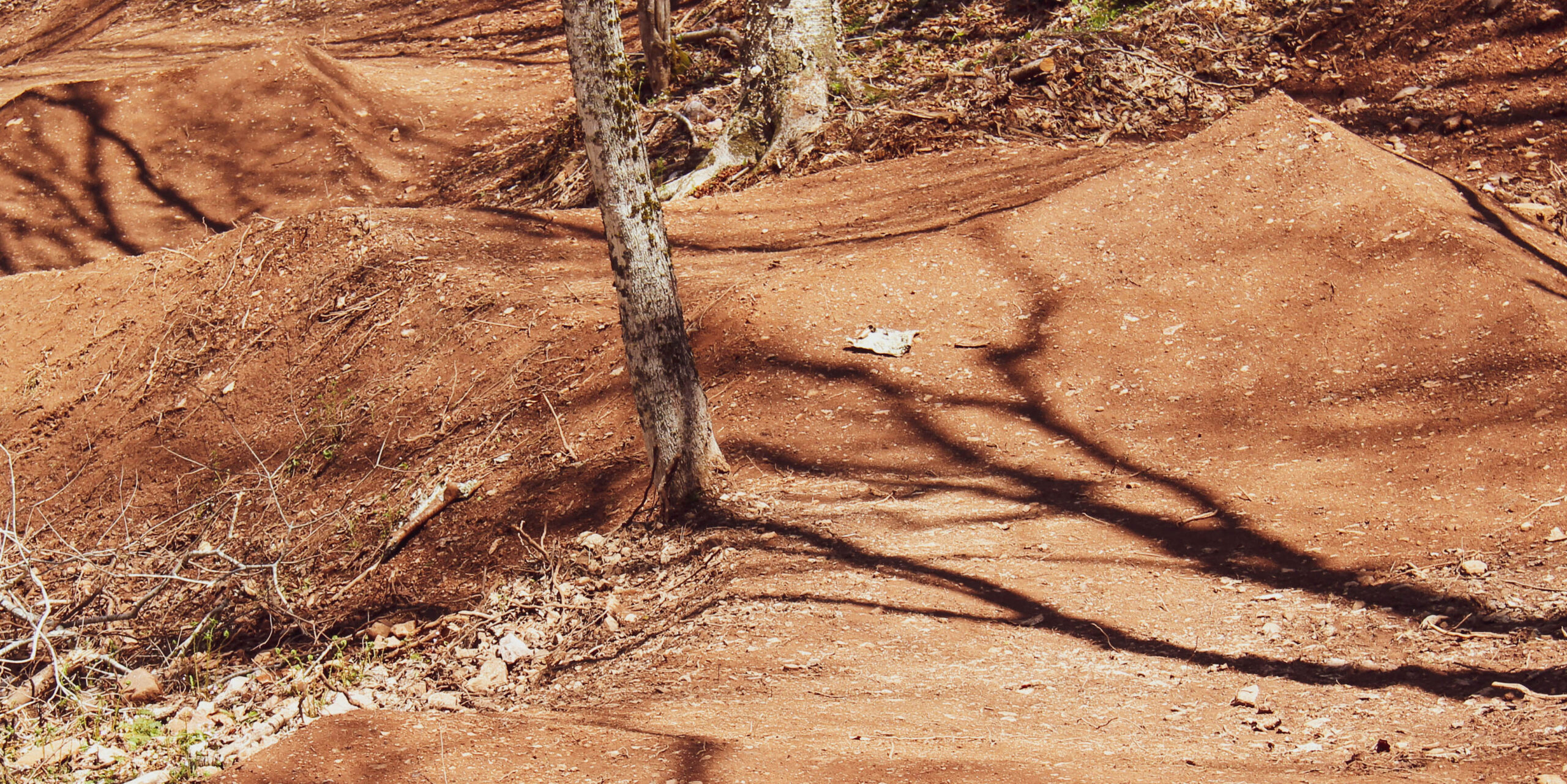 Sculpted trail corner under construction