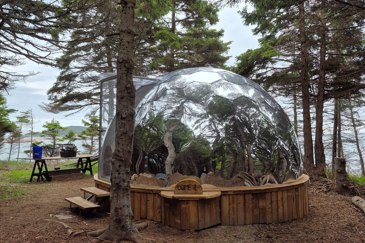 Finished geodesic dome accommodation on a wooded coastal property