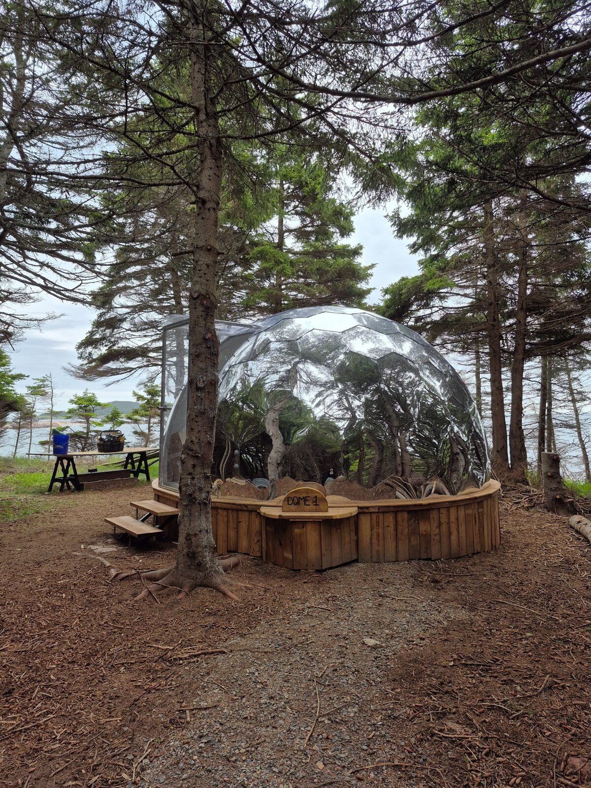 Completed geodesic dome on a wooded coastal tourism property